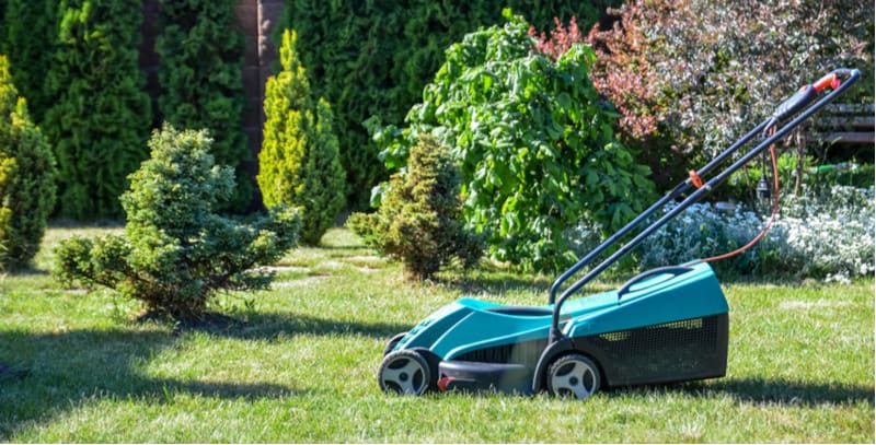 Top 6 Best Lawn Mowers For Small Gardens